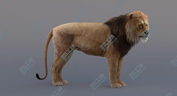 images/goods_img/20210312/3D model Lion Rigged/4.jpg